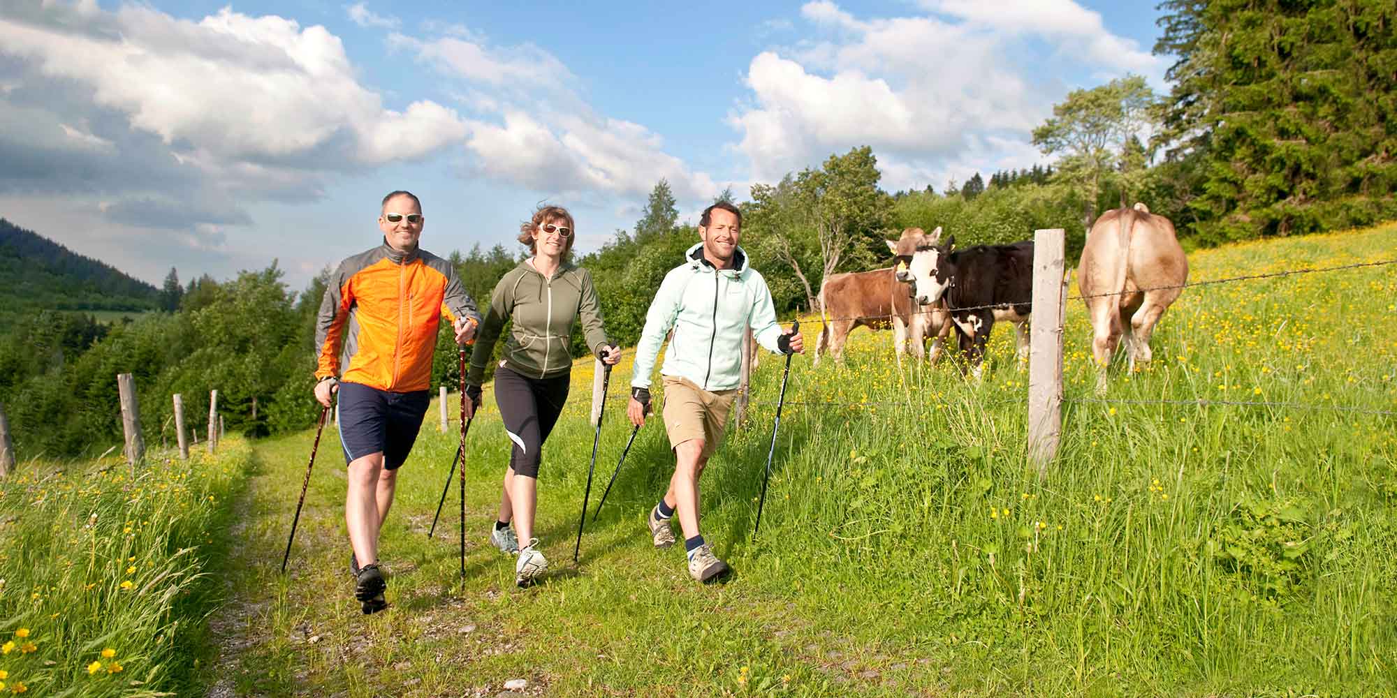 Dreiergruppe am Rand einer Kuhweide beim Nordic Walking