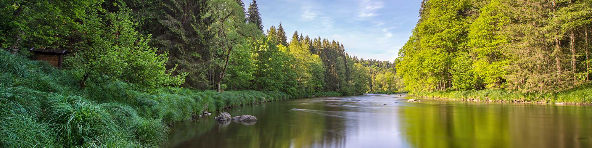 Blick auf den Fluss Ilz eingebettet in grüne Mischwälder